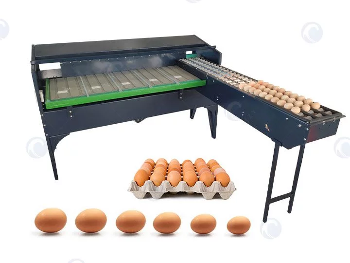Egg Grader Machine | Efficient Egg Grading System
